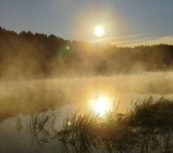 Дом в Лесной