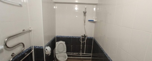 стандарт 3х местный в Старая стрельна