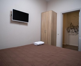 Номер эконом с 1 односпальной кроватью в Лисья нора