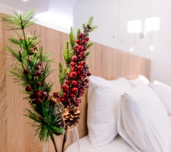 Номер стандарт в Snegiri