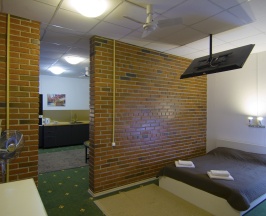 Люкс с PlayStation4 в Guest house Happy family