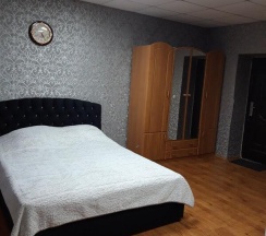 Номер люкс с 1 двуспальной кроватью в Метелица