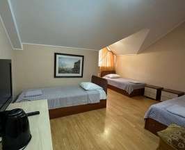 Стандартный трехместный номер в Николаевский