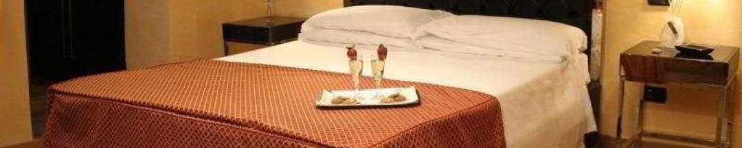 Двухместный номер Standard двуспальная кровать в Hotel Siena