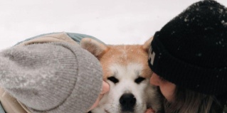 Пушкинский городской округ: Коттедж Озеро белых лилий