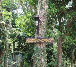Двухместное бунгало 2 отдельные кровати в Marisa Resort & Spa Chiang Dao