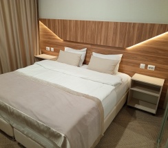 НОМЕР ДЕЛЮКС С КРОВАТЬЮ KING-SIZE ИЛИ 2 РАЗДЕЛЬНЫМИ КРОВАТЯМИ в Петербург