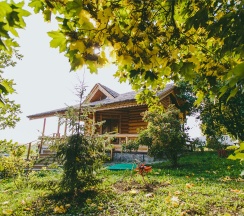 VIP-Кедр в Ярославна