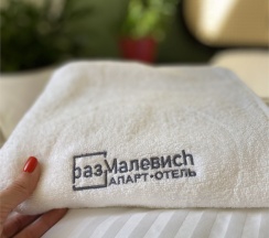 № 306 Улучшенный двухместный номер в разМалевиch