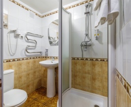 Эконом двухместный (две односпальные кровати) в АМАКС