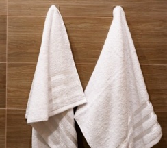 Люкс в Приозерный