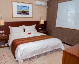 Двухместный номер Standard с красивым видом из окна двуспальная кровать в SoLuxe Hotel Almaty