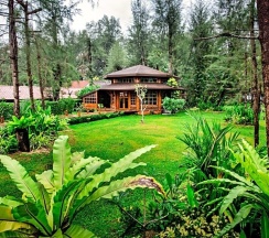 Одноместный номер Deluxe односпальная кровать в Naiyang Park Resort