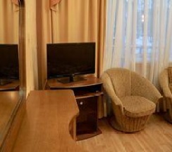 2-местный 1-комнатный номер студия в Лесной