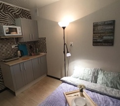 1-комнатные апартаменты стандарт в Диван и Чемодан