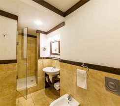 Стандартный трехместный номер TRPL ( с двуспальной и односпальной кроватями) в Гладенькая