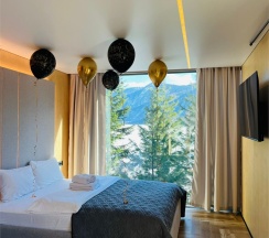 Полулюкс в Телецкое Золотое