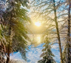 Стандарт в Телецкое Золотое