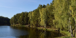 Сосновка: Турбаза Акватория