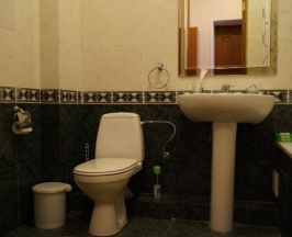 Номер стандарт с 1 двуспальной кроватью в Трек