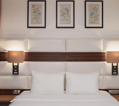 Номер делюкс стандарт в AurA City Hotel