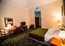Номер стандарт с 1 двуспальной кроватью в Шаляпин палас отель