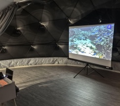 Бунгало премиум в Кусто