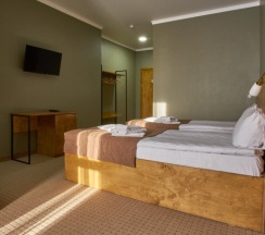 Двухместный номер Standard двуспальная кровать в Altyn Eco Park