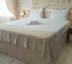 Апартаменты просторные с кроватью размера "king-size" в Рантье Центральный