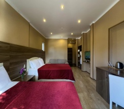 Трёхместный номер Супериор c 1 комнатой с балконом и с красивым видом из окна в Aimara