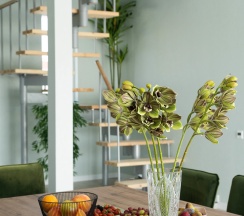 Дом в Elephant Homd