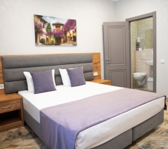 Делюкс 2х местный в Акрополь