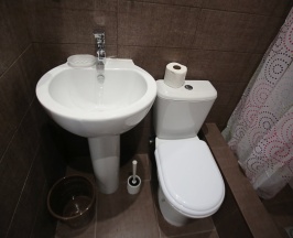 Двухместный номер Standard с балконом 2 отдельные кровати в Dream house