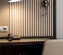 Deluxe Business Twin в Irkutsk City Center