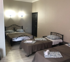 Апартаменты улучшенные с кухней и балконом в Кристина