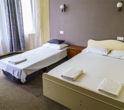 Номер стандарт с 1 односпальной и 1 двуспальной кроватью в Оптима