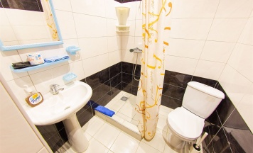 3 х местный бюджетный в Диана