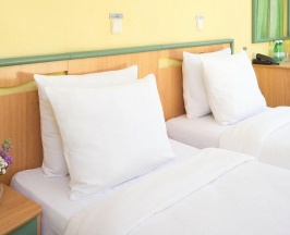 Номер стандарт с 2 односпальными кроватями в City park hotel Sochi
