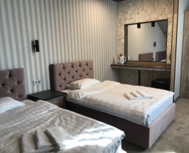 Стандартный номер 2 кровати (Алёнушка) в Аленушка