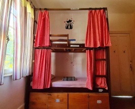 Кровать в общем номере (женский номер) в Red Monkey Hostel: Barra Funda