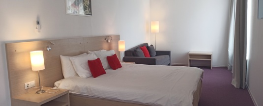 Стандартный двухместный номер с 1 кроватью в Loft