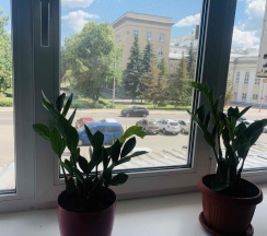 Категория номера в Апартаменты на Ул.Салтыкова Щедрина, д.33
