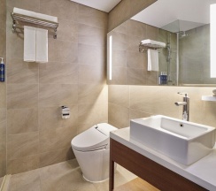 Одноместный номер Standard в Four Points by Sheraton Josun, Seoul Station