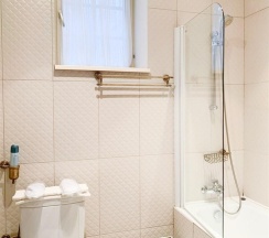 Номер улучшенный с 1 двуспальной кроватью в Барский флигель