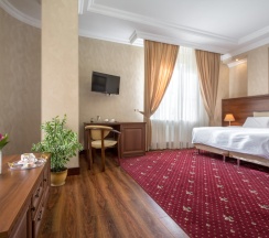 Двухместный номер Deluxe с видом на город двуспальная кровать в Театр