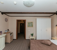 Номер делюкс твин в Губернский