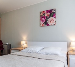 Улучшенный двухместный номер с 1 кроватью в Брусника