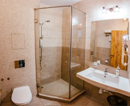 Стандарт Мансарда в Hotel La Terrassa
