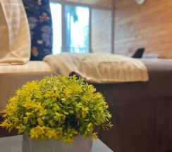 Двухместный номер Deluxe с балконом и с красивым видом из окна двуспальная кровать в Нептун-2