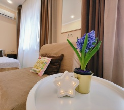 3-х местный стандарт  в Центральная